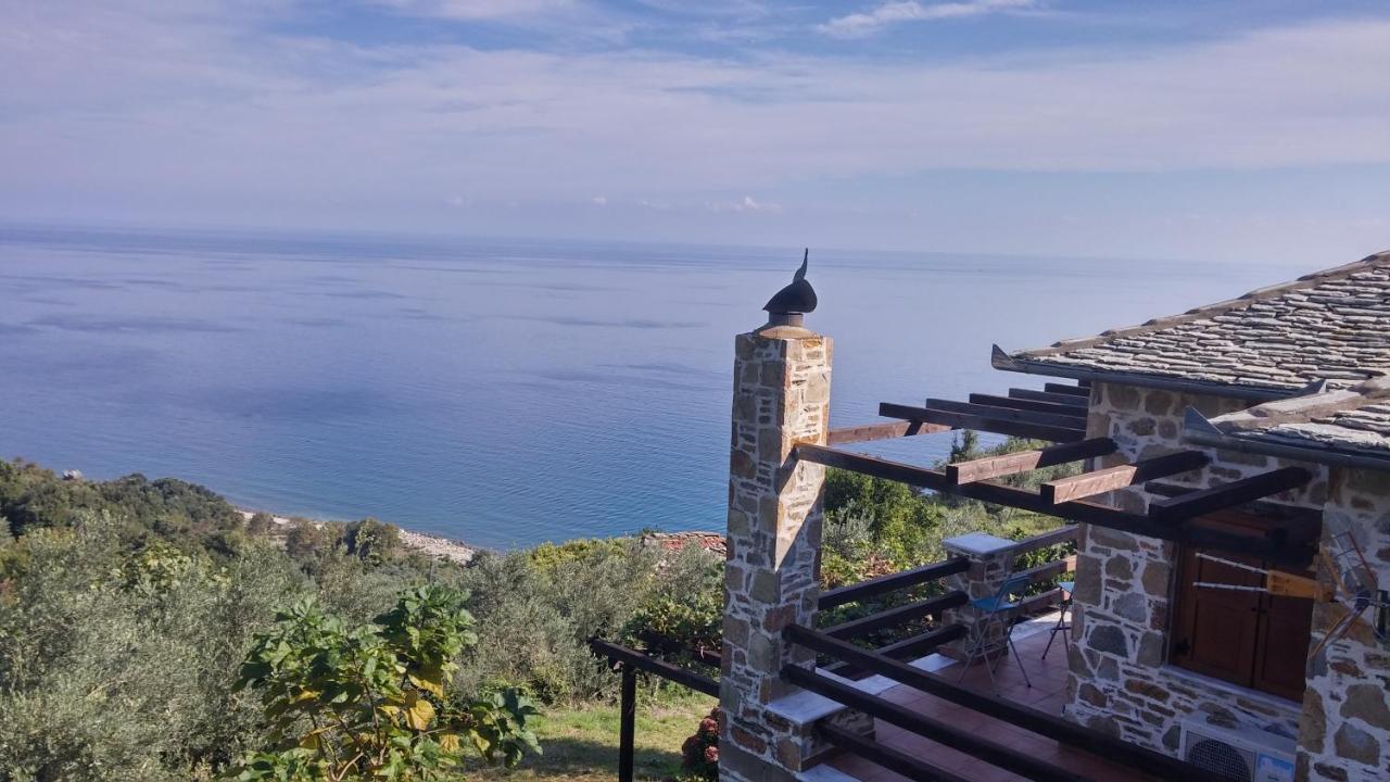 Analipsi Sea View Hommes Villa Zagora Dış mekan fotoğraf